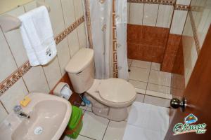 La salle de bains est pourvue de toilettes, d'un lavabo et d'une douche. dans l'établissement Olimpo Inn, à Puno