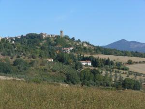 a house on top of a hill at Appartamento Il Pianetto in Celle sul Rigo