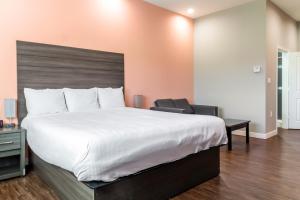 Postel nebo postele na pokoji v ubytování Scottish Inns & Suites Houston, TX