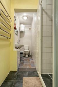 維爾紐斯的住宿－Vidos Apartamentai，一间带卫生间和水槽的浴室