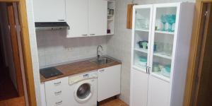 トレドにあるAPARTAMENTOS,Puerta de Bisagra-PARKING GRATISのシンクと洗濯機付きのキッチン