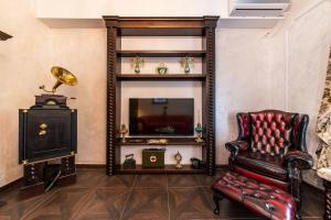 ブカレストにあるPrivate Museum Apartment with Antique Decorの椅子とテレビのあるリビングルーム