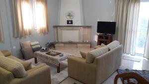 ein Wohnzimmer mit Sofas, einem Kamin und einem TV in der Unterkunft Family apartments in Mesolongi
