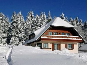 une maison recouverte de neige devant les arbres dans l'établissement Landhaus-Seiler, à Freudenstadt