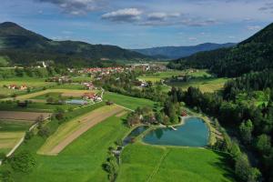 an aerial view of a village in a valley with a lake at Hotel Planinka in Ljubno