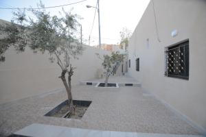 Fotografie z fotogalerie ubytování Juniper House v destinaci Wadi Musa