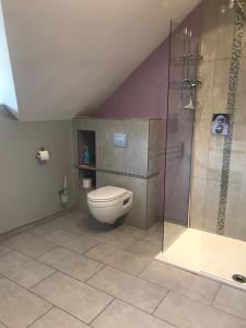 a bathroom with a toilet and a glass shower at Le gîte de SoleilMapou pour 12 personnes en Normandie près de Fécamp et d'Etretat, idéal grandes tribus, vous pouvez me joindre au zéro six soixante dix huit soixante treize trente six quatre vingt onze pour réserver en direct in Ganzeville +26 photos