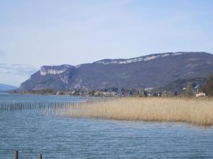 ein Wasserkörper mit Gras und Bergen im Hintergrund in der Unterkunft 206 aix les bains in Aix-les-Bains