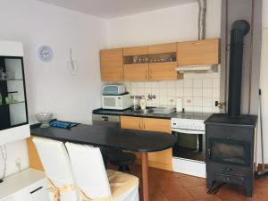 Kuhinja oz. manjša kuhinja v nastanitvi Penzion Úpice Luky