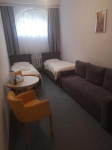 ein Wohnzimmer mit einem Sofa und einem Bett in der Unterkunft Hotelik Elka-Sen in Stettin