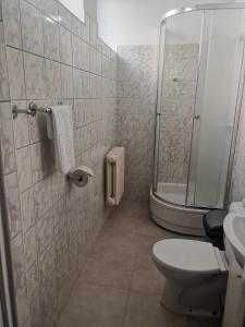 a bathroom with a shower and a toilet and a sink at Hotelik Elka-Sen in Szczecin