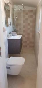 a bathroom with a toilet and a sink and a mirror at House Mergi in Pomer +8 photos