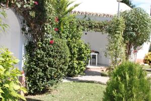 Zahrada ubytování Apartamento Oasis - Deniasol