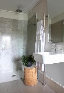克尼斯納的住宿－Asilia Suites Knysna Waterfront，一间带水槽和玻璃淋浴的浴室