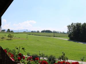 een uitzicht op een veld vanaf de veranda van een huis bij Beim Danner in Riedering
