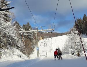 two people on a ski lift in the snow at Ferienwohnungen Veit in Aigen im Mühlkreis