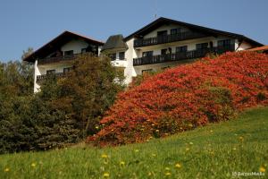 une maison au sommet d'une colline avec des buissons rouges dans l'établissement Appartement Hauzenberg-Panorama, à Hauzenberg