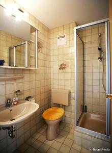a bathroom with a toilet and a sink and a shower at Appartement Hauzenberg-Panorama in Hauzenberg