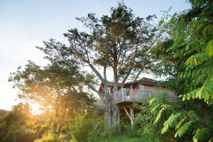 una casa en el árbol con una terraza encima en La Gree Des Landes - Eco-Hotel-Spa Yves Rocher en Cournon