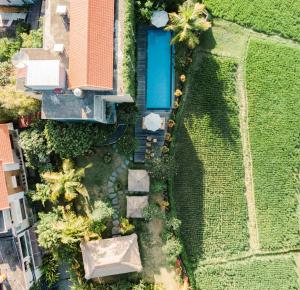 einen Blick über einen Garten mit Pool in der Unterkunft Byasa Ubud in Ubud