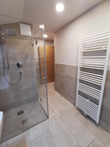 ein Bad mit einer Dusche und einer Glasduschkabine in der Unterkunft Villa ROWA in Bad Hofgastein