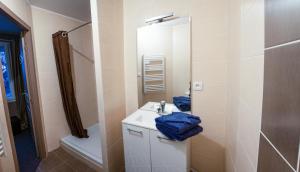 a bathroom with a sink and a shower and a mirror at Studio Sainte Marie la Blanche in Sainte-Marie-la-Blanche
