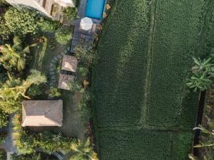 Zahrada ubytování Byasa Ubud