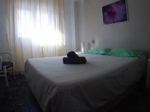 Fotografie z fotogalerie ubytování La casita de Pepe - piso compartido ve Valencii
