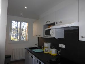 uma cozinha com um balcão e um micro-ondas em RÉSIDENCE DES NEIGES 2052 em Le Sauze