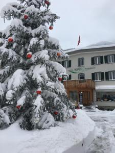 Hotel Spöl Restaurant að vetri til