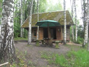 a small cabin with a picnic table in the woods at Järvenukka Puhkemaja in Ähijärve