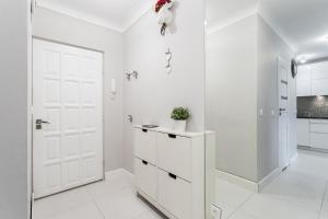 Kuchnia lub aneks kuchenny w obiekcie Apartament Forest - Parking - Praia Apartments Sopot Aquapark