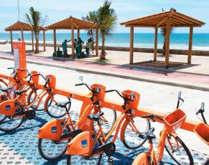 una fila de bicicletas naranjas estacionadas junto a la playa en Apto Mar Stiep en Salvador