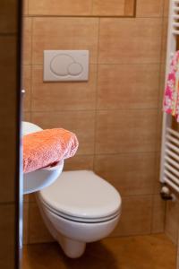 Fotografia z galérie ubytovania Apartmá Daisy v destinácii Rokytnice nad Jizerou