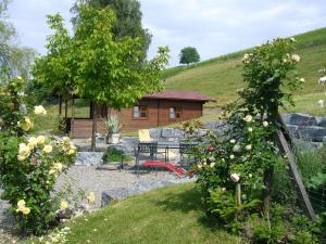 Afbeelding uit fotogalerij van Landhotel Hirschen in Trüllikon