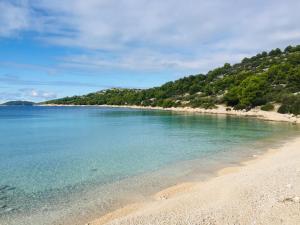 a beach with blue water and trees in the background at Mia Apartman in Murter