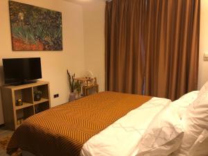a bedroom with a bed and a flat screen tv at Silver Mountain G1 15 in Poiana Brasov