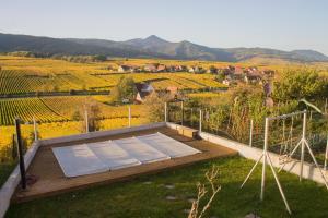 a yoga deck with a view of a vineyard at Le Zell in Zellenberg