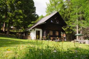 Vonkajšia záhrada v ubytovaní Falkert-Hütte „Beim Almöhi"