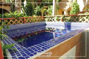 een zwembad met blauwe tegels en planten erop bij Hacienda Escondida Puerto Vallarta in Puerto Vallarta