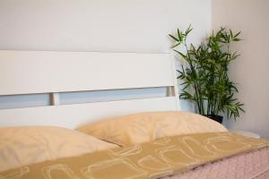 - un lit avec deux oreillers et une plante en pot dans l'établissement Akropole Apartment in Riga, à Riga