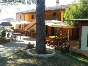 a tree with tables and umbrellas in front of a building at Agriturismo Casale il Gallo Bianco in Offagna
