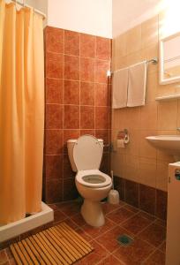 a bathroom with a toilet and a sink at Sibylla Hotel in Delphi