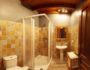 a bathroom with a shower and a toilet and a sink at Apartamentos Miradorderodiles Miramar in Villaviciosa