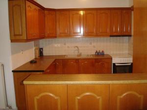 Кухня или мини-кухня в Villa Lagosta
