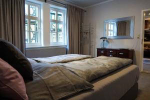 1 Schlafzimmer mit 2 Betten und 2 Fenstern in der Unterkunft Ferienwohnungen Ambiente am Breiten Tor in Goslar