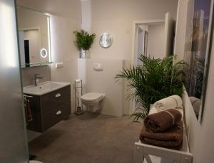 ein Badezimmer mit einem WC, einem Waschbecken und einem Spiegel in der Unterkunft Ferienwohnungen Ambiente am Breiten Tor in Goslar