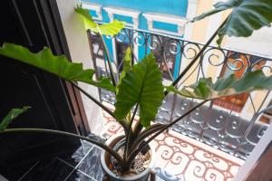 Balcone o terrazza di Fortel Hostel