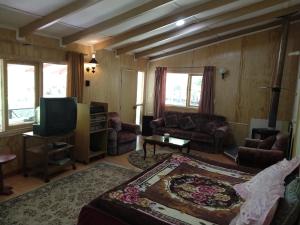 Una sala de estar con un sofá y un televisor en Cabana Caburgua, en Caburgua