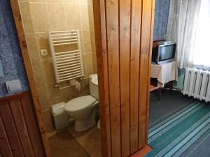 a bathroom with a toilet and a television at Незабудка in Verkhne-Studeny +29 photos